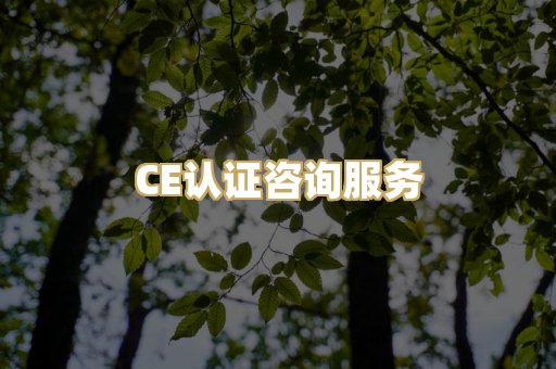 CE认证咨询服务